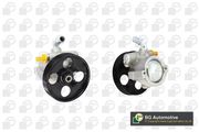 Hydraulikpumpe, Lenkung CITROËN C1