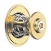 Produktbild für Thermostat, Kühlmittel