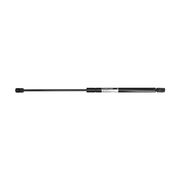 Gasfeder, Koffer-/Laderaum FORD FOCUS