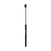 Gasfeder, Koffer-/Laderaum SEAT EXEO