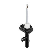 Stoßdämpfer FORD GRAND C-MAX