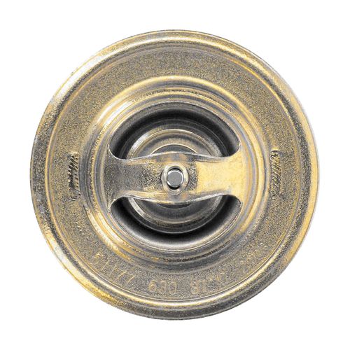 Produktbild für Thermostat, Kühlmittel