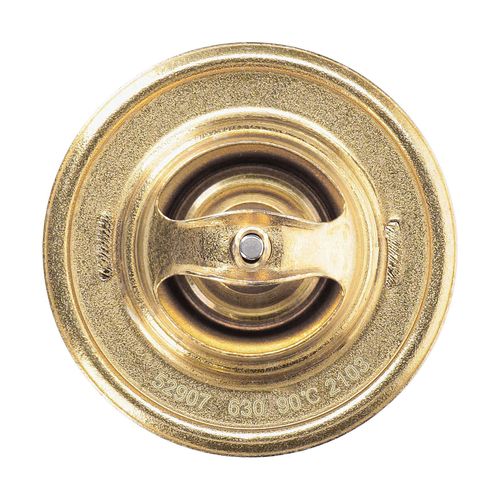 Produktbild für Thermostat, Kühlmittel