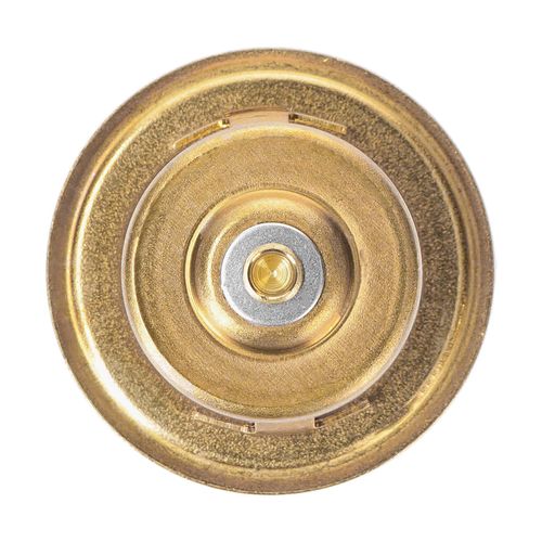 Produktbild für Thermostat, Kühlmittel
