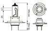 Produktbild für Glühlampe, Hauptscheinwerfer