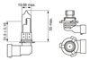 Produktbild für Glühlampe, Hauptscheinwerfer