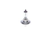 Glühlampe Pure Light FORD