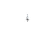 Glühlampe, Nebelscheinwerfer VW PASSAT