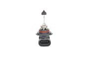 Glühlampe, Nebelscheinwerfer MAZDA