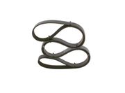 Keilrippenriemen DAIHATSU TERIOS