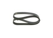 Keilrippenriemen NISSAN MURANO