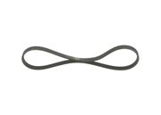 Keilrippenriemen RENAULT