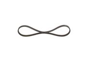 Keilrippenriemen FIAT PALIO