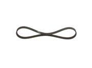Keilrippenriemen CHEVROLET