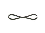 Keilrippenriemen RENAULT