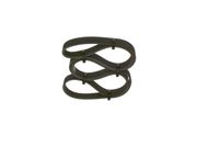 Keilrippenriemen PORSCHE