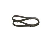 Keilrippenriemen PORSCHE