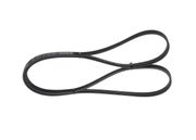 Keilrippenriemen FORD GALAXY