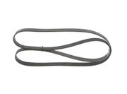 Keilrippenriemen MITSUBISHI CARISMA