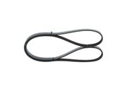 Keilrippenriemen AUDI