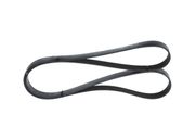 Keilrippenriemen RENAULT GRAND SCÉNIC