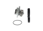 Wasserpumpe + Zahnriemensatz VW PASSAT