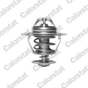 Thermostat, Kühlmittel NISSAN TERRANO II