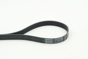 Keilrippenriemen NISSAN PULSAR