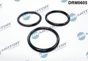 Dichtung, Wasserpumpe FORD TOURNEO CUSTOM