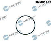 Dichtung, Kraftstoffpumpe FORD S-MAX