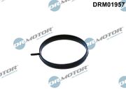 Dichtung, Drosselklappenstutzen NISSAN NOTE