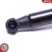 Gasfeder, Koffer-/Laderaum FIAT PANDA VAN