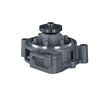 Produktbild für Wasserpumpe