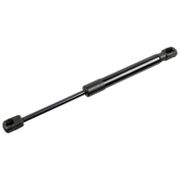 Gasfeder, Motorhaube BMW X4