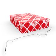 Bremsschlauch RENAULT GRAND SCÉNIC