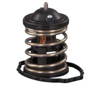 Thermostat, Kühlmittel MINI