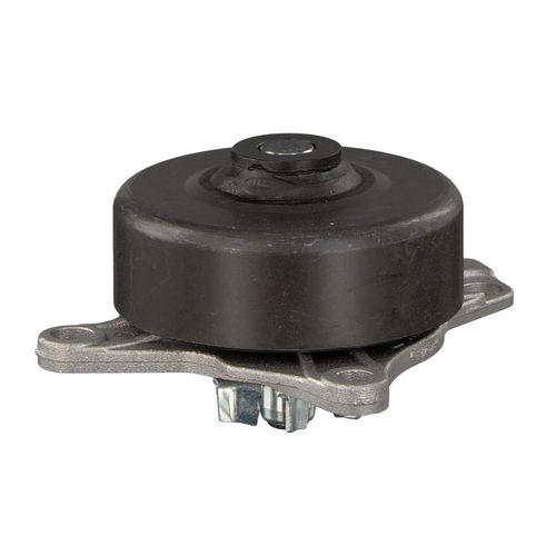 Produktbild für Wasserpumpe