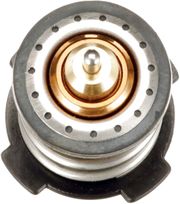 Thermostat, Kühlmittel VW BEETLE