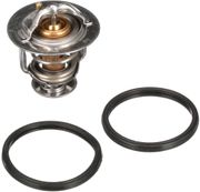 Thermostat, Kühlmittel NISSAN TERRANO II