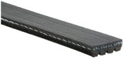 Keilrippenriemen Micro-V® MAZDA B-SERIE