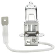 Glühlampe, Nebelscheinwerfer FIAT 500