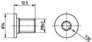 Schraube, Bremsscheibe MERCEDES-BENZ SLS AMG