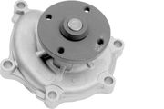 Wasserpumpe KIA CARNIVAL