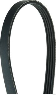 Keilrippenriemen MITSUBISHI COLT