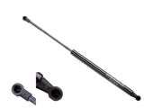 Gasfeder, Koffer-/Laderaum FIAT 500