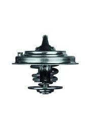 Thermostat, Kühlmittel PORSCHE CAYENNE