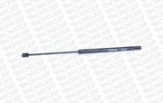 Gasfeder, Koffer-/Laderaum AUDI Q5