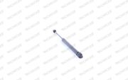 Gasfeder, Koffer-/Laderaum SEAT EXEO