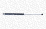 Gasfeder, Koffer-/Laderaum FIAT PANDA