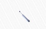 Gasfeder, Koffer-/Laderaum FIAT MAREA